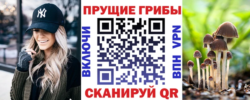 Купить  Кудымкар  Галлюциногенные грибы ЛСД 